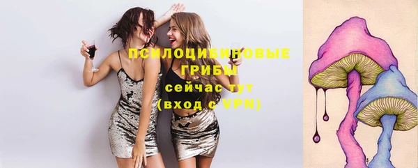 сатива Зерноград
