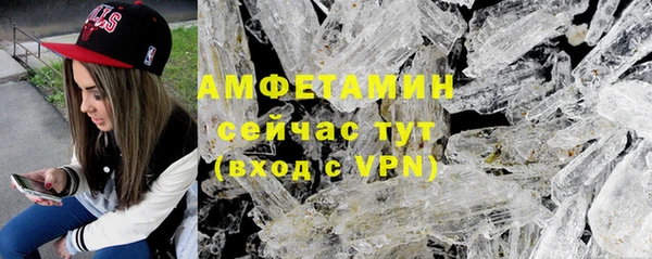 сатива Зерноград