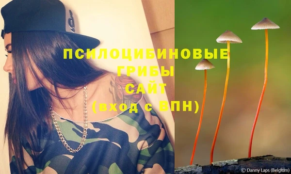 бошки Зеленодольск