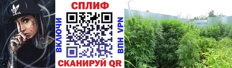 Шишки марихуана SATIVA & INDICA  Купить  Десногорск 